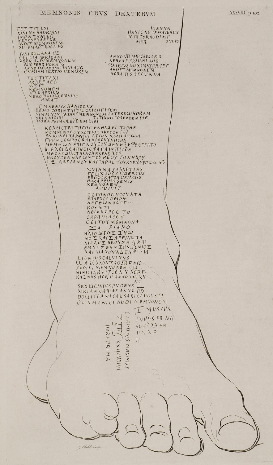 Memnonis_crus_dexterum_-_Pococke_Richard_-_1743